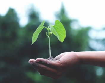 Discover our innovative products